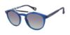 Picture of Robert Graham Sunglasses OLIVER
