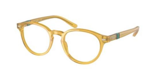 Picture of Polo Eyeglasses PH2208