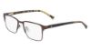 Picture of Altair Eyeglasses A4050