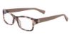 Picture of Cole Haan Eyeglasses CH5011