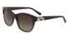 Picture of Bebe Sunglasses BB7198