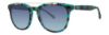 Picture of Lilly Pulitzer Sunglasses LUNI