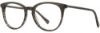 Picture of Adin Thomas Eyeglasses AT-442