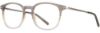Picture of Adin Thomas Eyeglasses AT-538