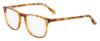 Picture of Altair Eyeglasses A4503