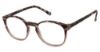 Picture of New Globe Eyeglasses L4076