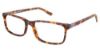 Picture of Xxl Eyewear Eyeglasses Terrapin