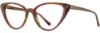Picture of Cinzia Eyeglasses CIN-5142