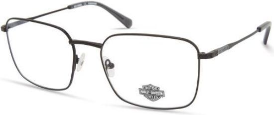 Picture of Harley Davidson Eyeglasses HD9021