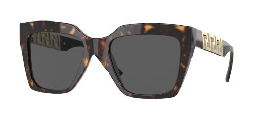 Picture of Versace Sunglasses VE4418F