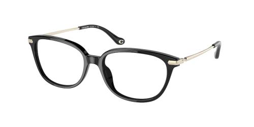 Picture of Coach Eyeglasses HC6185F