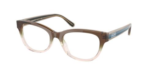 Picture of Coach Eyeglasses HC6187