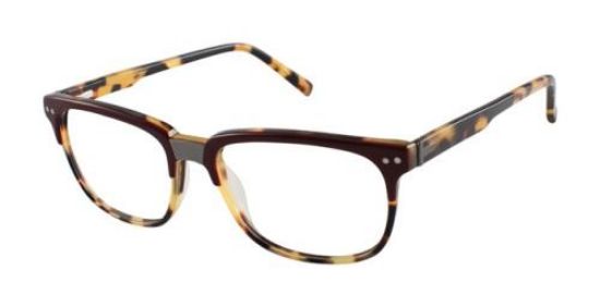 Picture of Ted Baker Eyeglasses B892