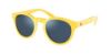Picture of Polo Sunglasses PH4184