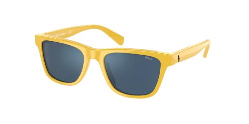 Picture of Polo Sunglasses PP9504U