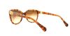 Picture of Dolce & Gabbana Sunglasses DG4162P