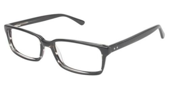 Picture of Vision's Eyeglasses 202