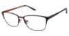 Picture of Vision's Eyeglasses 236
