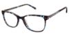 Picture of Ann Taylor Eyeglasses ATP011