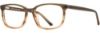 Picture of Adin Thomas Eyeglasses AT-548