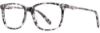 Picture of Adin Thomas Eyeglasses AT-550