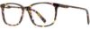 Picture of Adin Thomas Eyeglasses AT-550