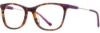 Picture of Cinzia Eyeglasses CIN-5147