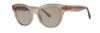 Picture of Lilly Pulitzer Sunglasses MARSALA