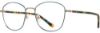 Picture of Cinzia Eyeglasses CIN-5146