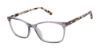 Picture of Ted Baker Eyeglasses TWBIO002