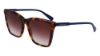 Picture of Longchamp Sunglasses LO719S