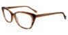 Picture of Lucky Brand Eyeglasses D219