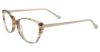 Picture of Lucky Brand Eyeglasses D209