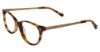 Picture of Lucky Brand Eyeglasses D211
