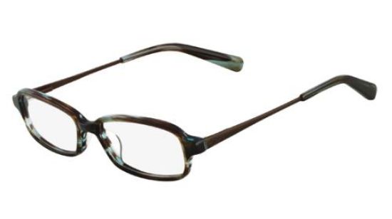 Picture of Nike Eyeglasses 5522