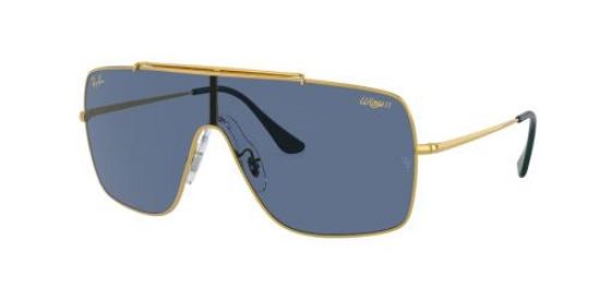 Picture of Ray Ban Sunglasses RB3697