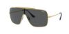 Picture of Ray Ban Sunglasses RB3697