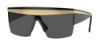 Picture of Versace Sunglasses VE2254