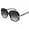 Picture of Chloe Sunglasses CH0105S