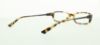 Picture of Polo Eyeglasses PP8517