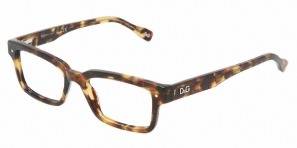 Picture of D&G Eyeglasses DD1176