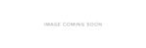 Picture of Paradigm Eyeglasses 19-04