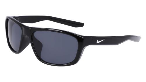 Picture of Nike Sunglasses LYNK FD1806