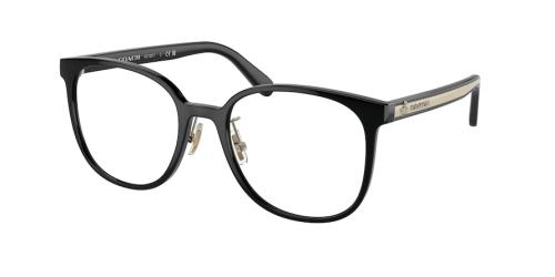 Picture of Coach Eyeglasses HC6217