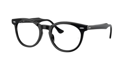 Picture of Ray Ban Eyeglasses RX5598F