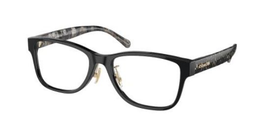 Picture of Coach Eyeglasses HC6208F
