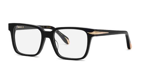 Picture of Roberto Cavalli Eyeglasses VRC019S