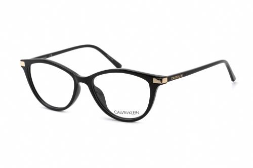 Picture of Calvin Klein Eyeglasses CK19531