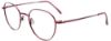 Picture of Cool Clip Eyeglasses CC844