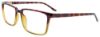 Picture of Cool Clip Eyeglasses CC847